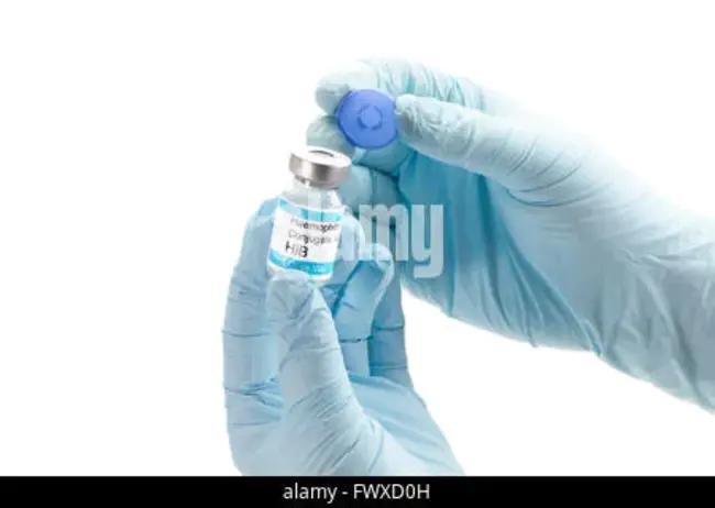 Hib-Meningococcal (Bivalent) Conjugate Vaccine (MenHibrix®) : hib脑膜炎球菌（二价）结合疫苗（menhibrix®）