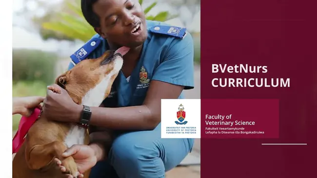 Bachelor of Veterinary Science and Animal Husbandry : 兽医与畜牧学学士