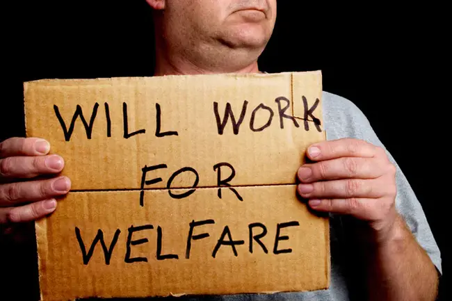 Welfare-to-Work : 福利工作