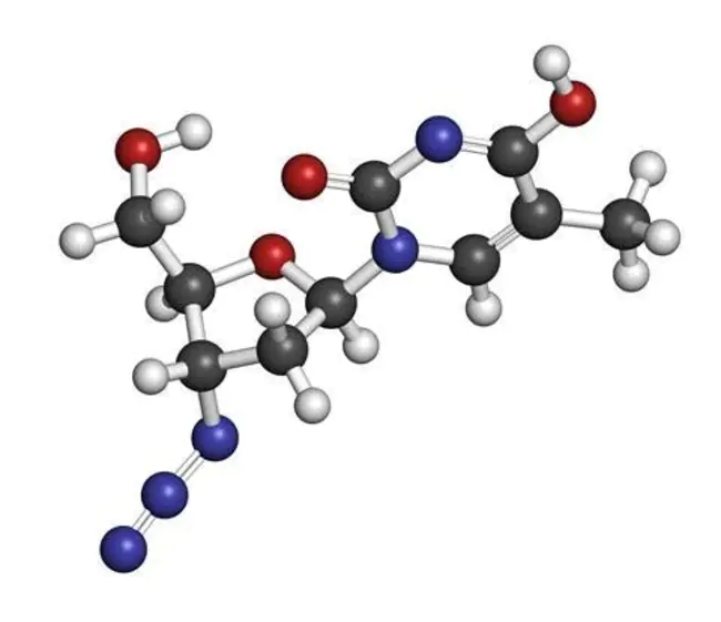 Azidothymidine : 叠氮胸苷