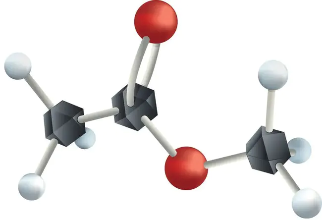 National Council for Science & Technology (of Kenya and Uganda) : 国家科学技术委员会（肯尼亚和乌干达）