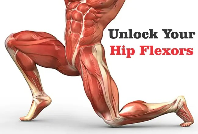 Flexor Carpi Ulnaris (muscle) : 尺腕屈肌（肌肉）