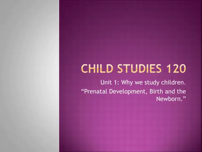 Institute for Pre and Perinatal Education : 产前和围产期教育研究所