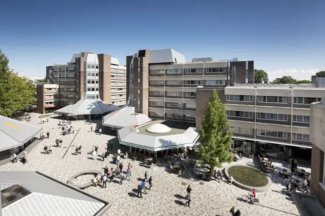 Amsterdam University College : 阿姆斯特丹大学学院