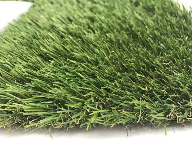 Synthetic Grass : 人造草