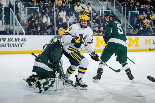 Michigan Amateur Hockey Association : 密歇根业余曲棍球协会