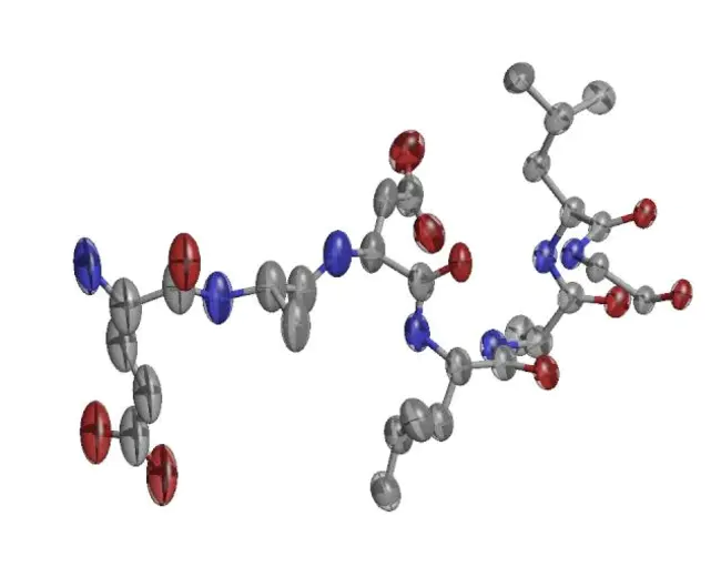 Anisotropic Network Model : 各向异性网络模型