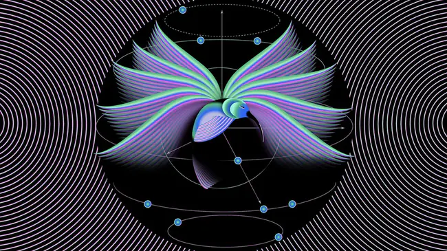 Quantum Higher Symmetries : 量子高对称性