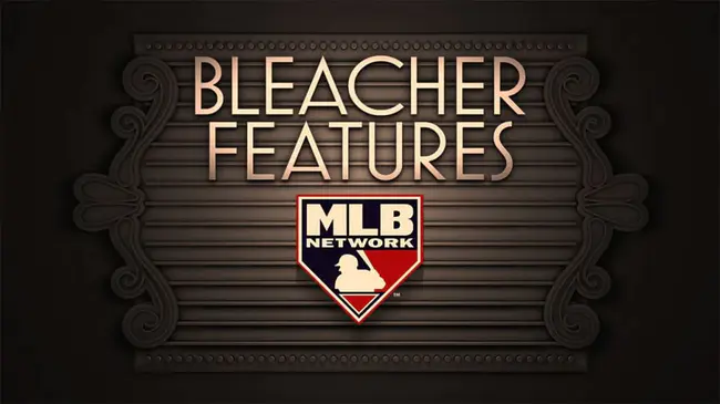 Bleacher Bums Baseball League : 露天看台流浪棒球联盟