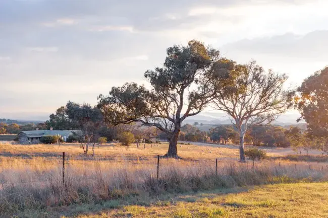 Bushfire Planning and Design : 森林火灾规划设计