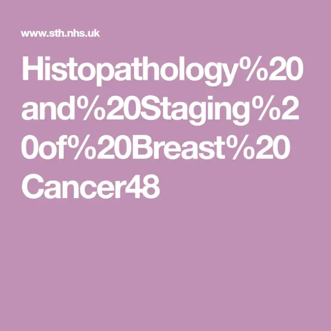 Molecular Cancer Therapeutics : 分子癌症治疗学