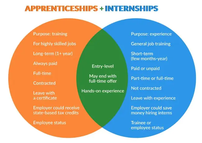 Apprenticeship Mentorship and Entrepreneurship : 学徒指导与创业