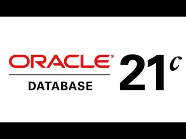 Oracle Data Integrator : Oracle数据集成器