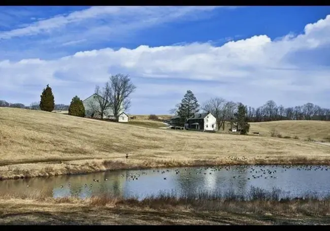 Delaware Valley Chapter : 特拉华州山谷分会