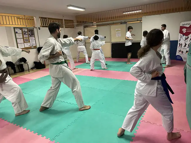 Karaté Kobudo Taichi Club : 卡拉特雷古武多太极俱乐部