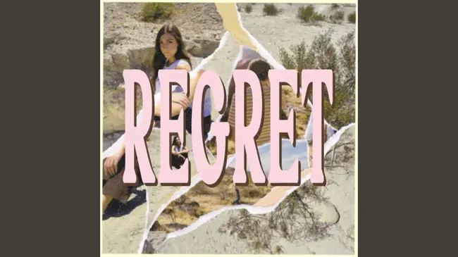regret regret : 后悔后悔