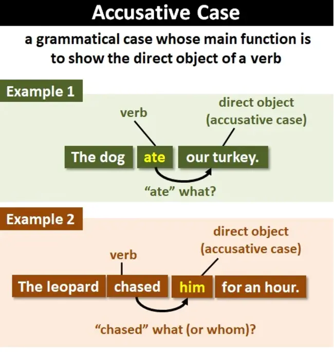 Accusative : 控诉的