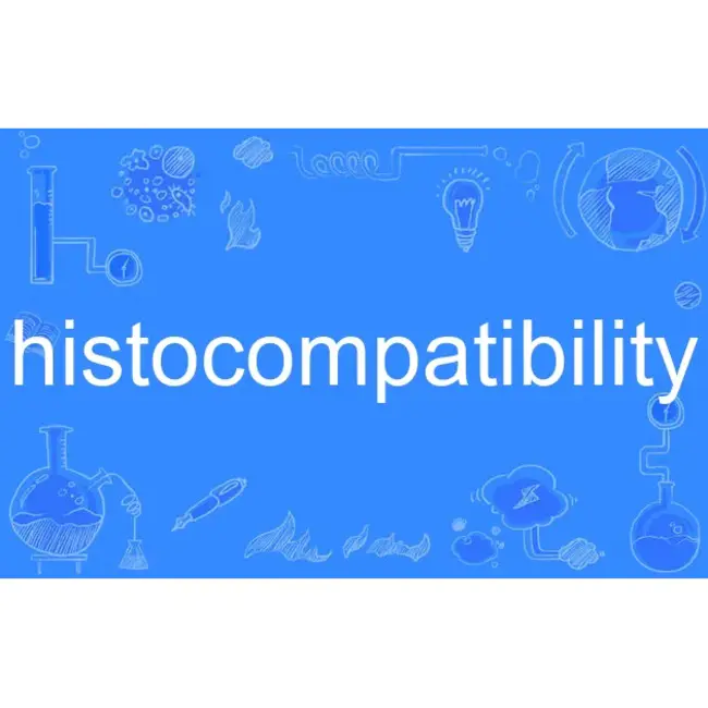 Histocompatibility Y Antigen : 组织相容性Y抗原