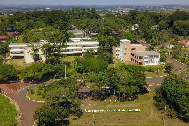 Universidade Eduardo Mondlane : 爱德华多·蒙德兰大学