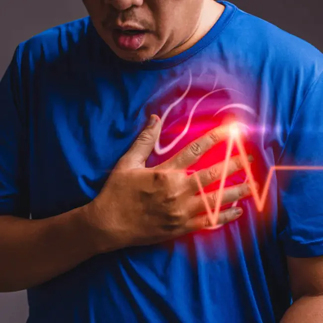 Heart Attack Prevention Programme for You : 你的心脏病预防计划