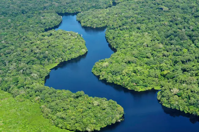 Future of Tropical Rainforest Peoples : 热带雨林人民的未来