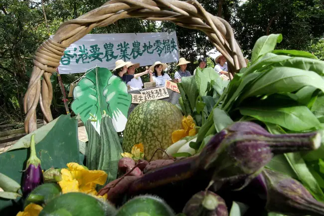 China Green Agriculture : 中国绿色农业