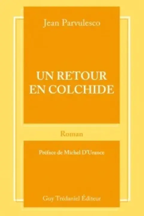 Réseau québécois de recherche sur la douleur : Qu B COIS 疼痛研究网络