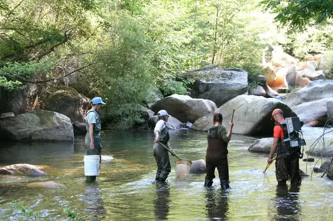 Sierra Watershed Education Partnerships : 塞拉流域教育伙伴关系