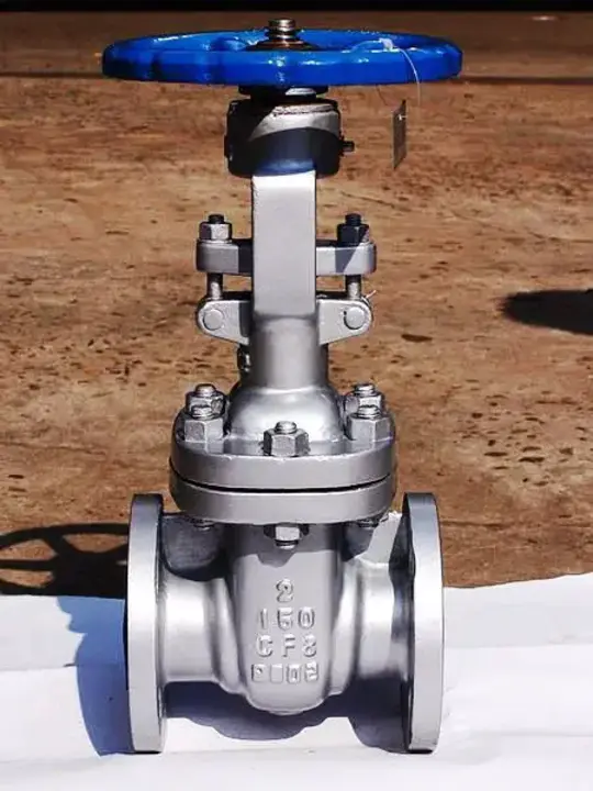 Gate Valve : 闸阀