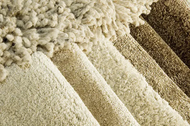 Carpet and Fabricare Institute : 地毯和法布里加研究所