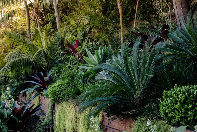 Sidney Botanical Garden : 西德尼植物园