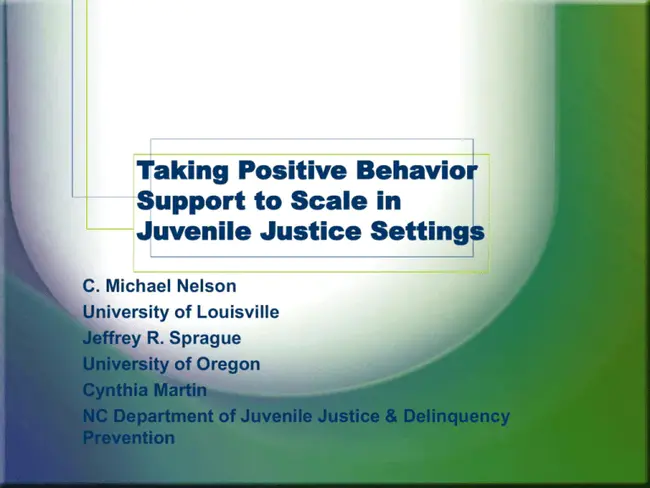 Positive Behavior Support Initiative : 积极行为支持倡议