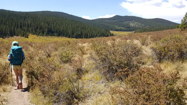 Colorado Mountain College : 科罗拉多山区学院