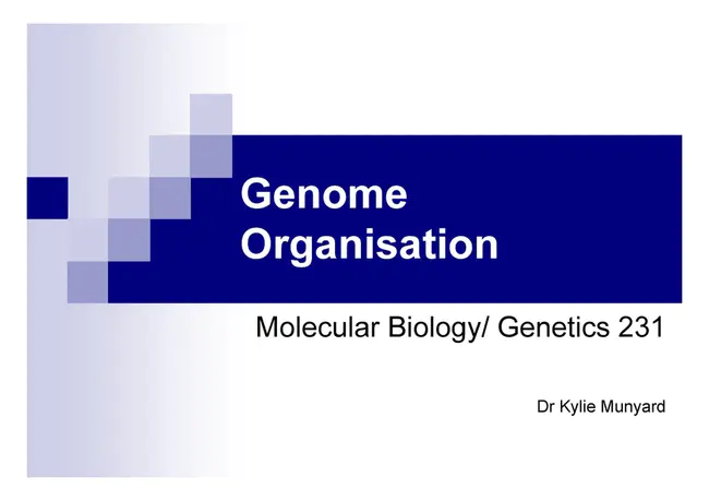 Genome Positioning System : 基因组定位系统