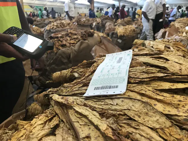 Tobacco Merchants Association : 烟草商协会