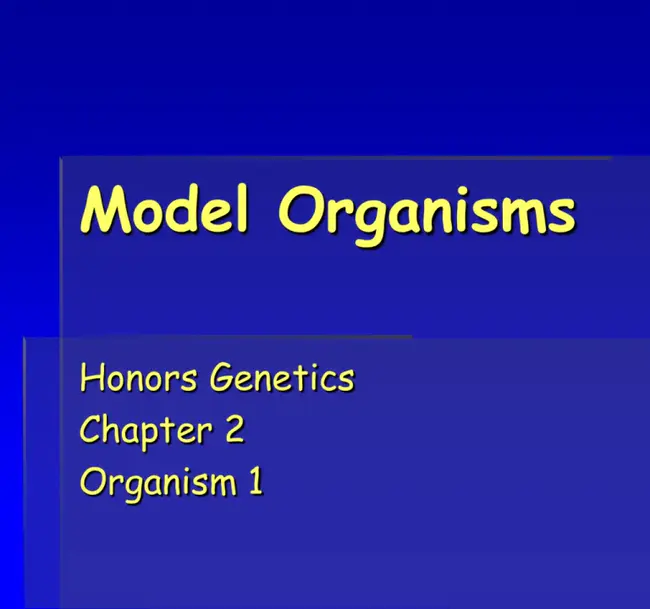 Generic Model Organism Database : 通用模式生物数据库