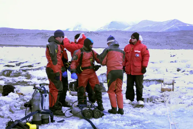 Antarctic Environmental Officers Network : 南极环境官员网络