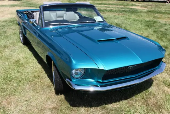 Vintage Mustang Forums : 老野马论坛