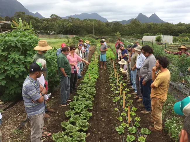 Hawaii Organic Farmers Association : 夏威夷有机农场主协会