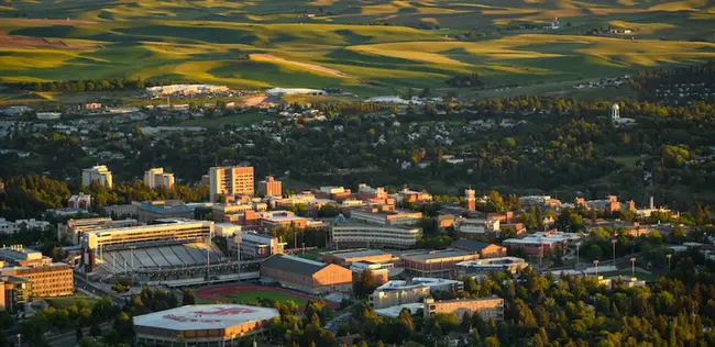 University of Washington Tacoma : 华盛顿大学塔科马分校