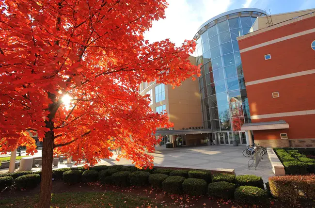 University Health : 大学卫生