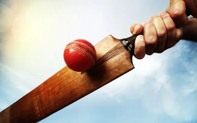 Delhi Districts Cricket Association : 德里区板球协会