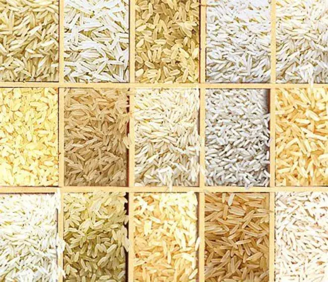 Rice Design Alliance : 水稻设计联盟
