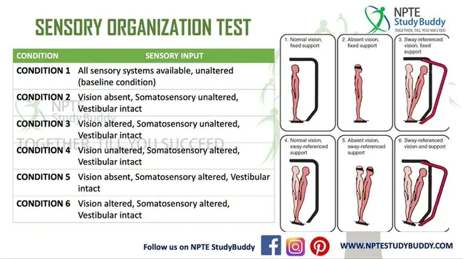 Sensory Organization Test : 感官组织试验