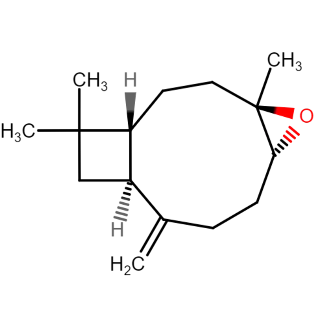 Transparent Conductive Oxide : 透明导电氧化物