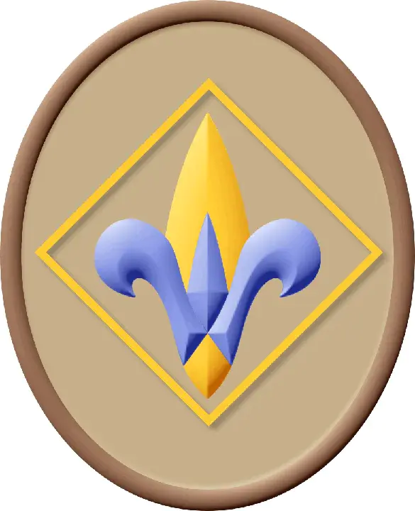 Combat Infantry Badge : 战斗步兵徽章