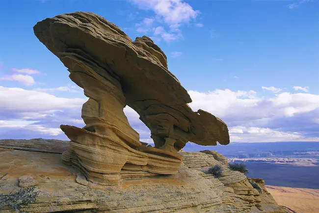 Erosion Control Blanket : 侵蚀控制覆盖层