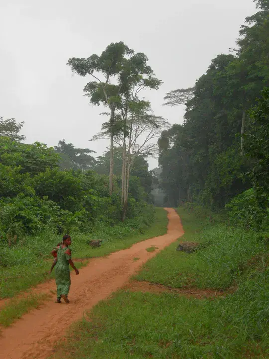 Rainforest Conservation Fund : 雨林保护基金