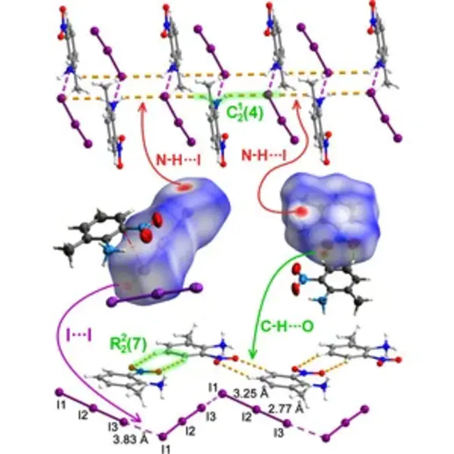 Modulated Ova Haptide : 调制半抗原