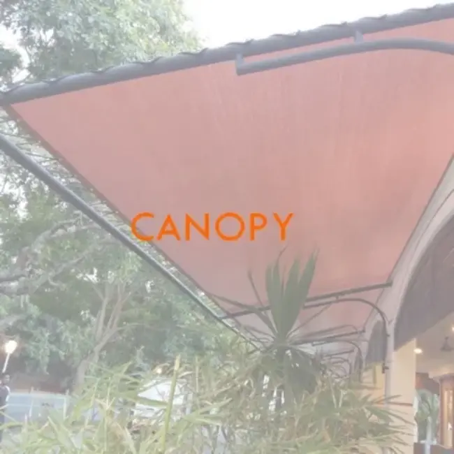 Canopy Formation : 树冠形成